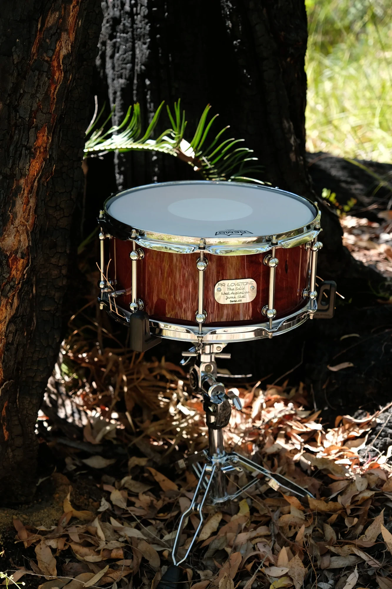 Jarrah 14″ × 6.5″ Gloss – view 4