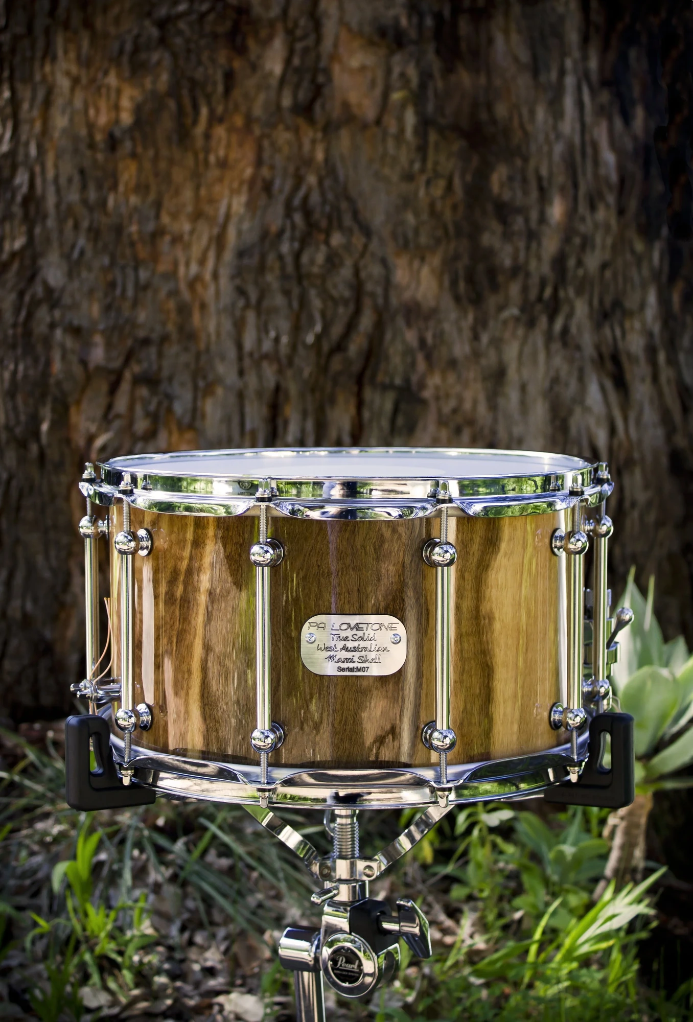 A Marri snare drum standing at the foot of the tree species it came from